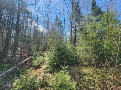 00 S Spruce St, Glennie, MI 48737