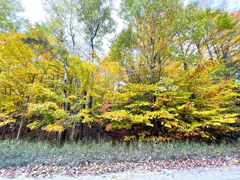 lot16 Trout Creek Rd, Cheboygan, MI 49721