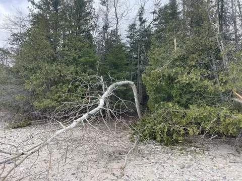 Us-23, Cheboygan, MI 49721 photo 5