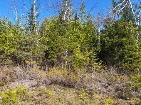 pineview drive LOT S 234, Presque Isle, MI 49777