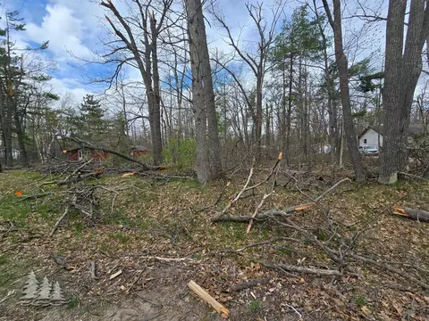 big buck drive LOT 146, Lewiston, MI 49756
