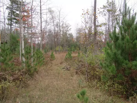 APT 6 Pine Lodge Trail, Roscommon, MI 48653 photo 5