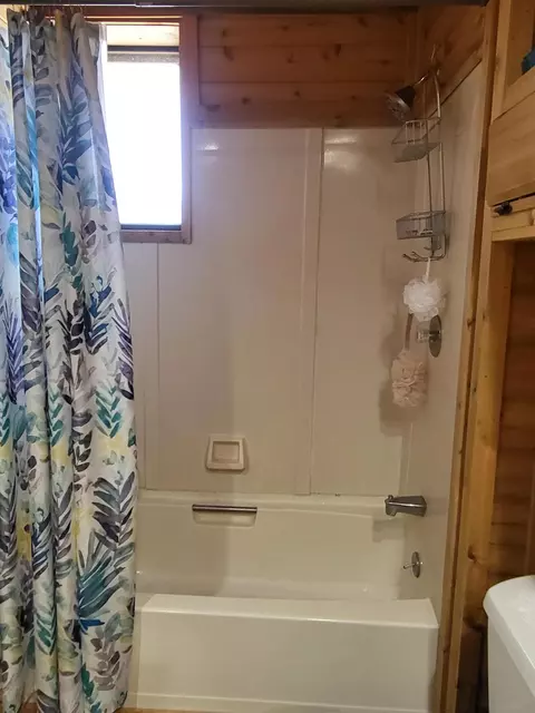 709 Park St, Grayling, MI 49738 photo 38