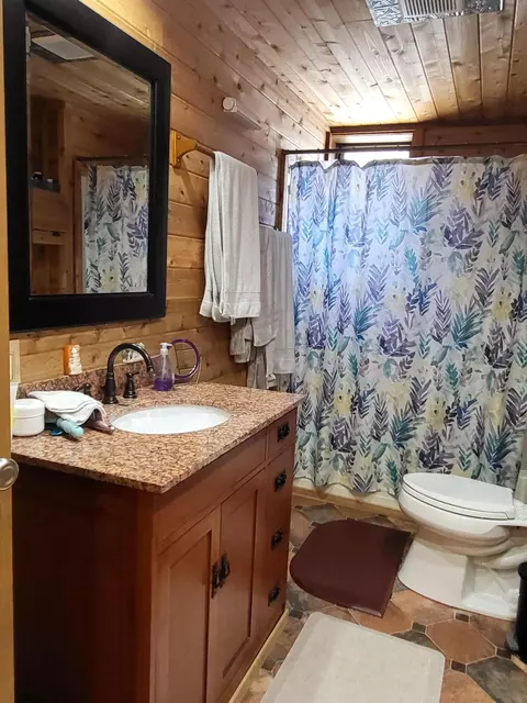 709 Park St, Grayling, MI 49738 photo 37