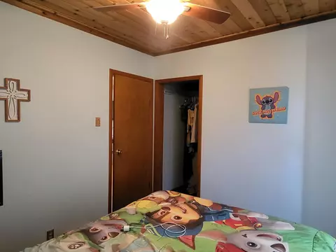 709 Park St, Grayling, MI 49738 photo 21