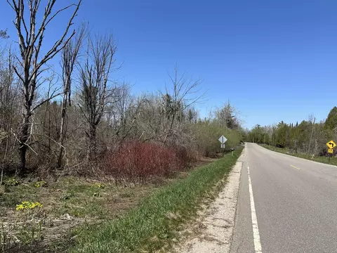000 Rustic Rd #9.34 ACRES, Petoskey, MI 49770 photo 5