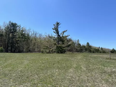 000 Rustic Rd #9.34 ACRES, Petoskey, MI 49770 photo 3