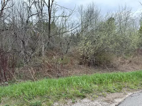 000 Rustic Rd #9.34 ACRES, Petoskey, MI 49770 photo 6