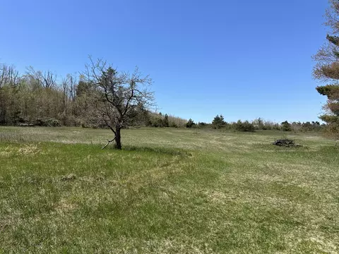 000 Rustic Rd #9.34 ACRES, Petoskey, MI 49770