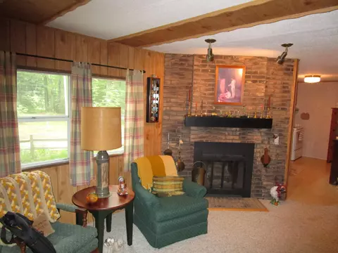 541 Ranch Rd, Indian River, MI 49749 photo 12