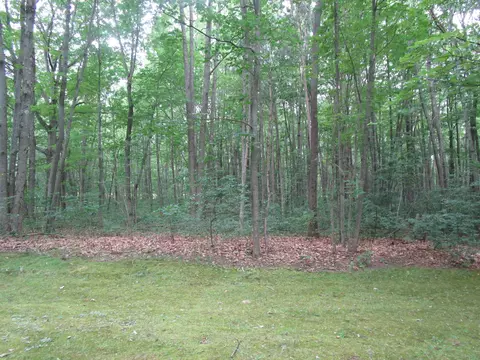 541 Ranch Rd, Indian River, MI 49749 photo 20