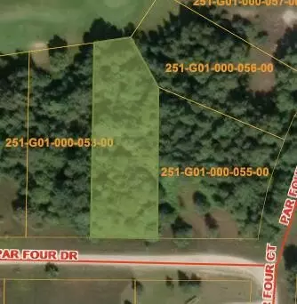 3662 Par Four Dr, Wolverine, MI 49799 photo 2