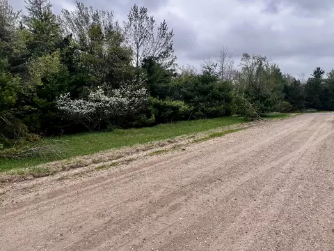 3662 Par Four Dr, Wolverine, MI 49799 photo 3