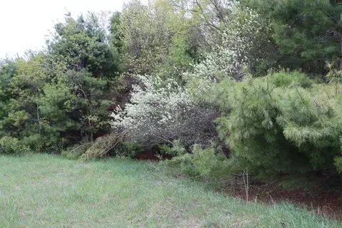 3662 Par Four Dr, Wolverine, MI 49799 photo 6