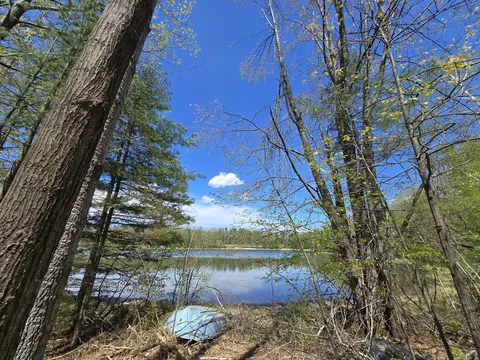2079 Applebee Ln #2.98 ACRES, Fairview, MI 48621