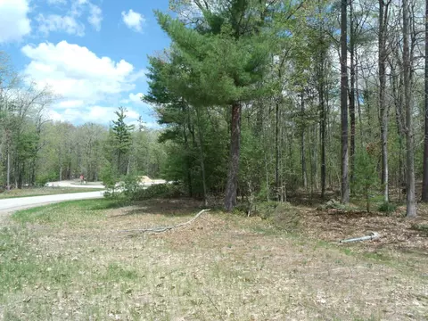 wintree drive UNIT 6, Indian River, MI 49749