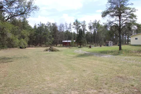 Exterior - 1364 Lakeview Dr, Mio, MI 48647 photo 2 of 5