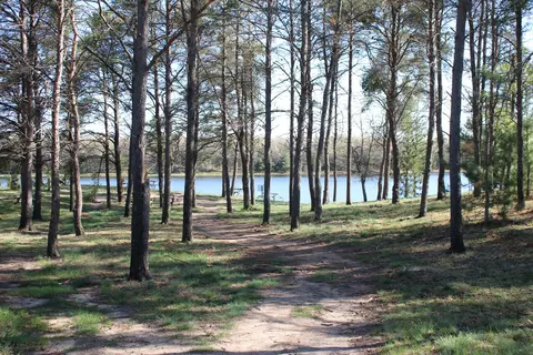 View/Area - 1364 Lakeview Dr, Mio, MI 48647 photo 5 of 6