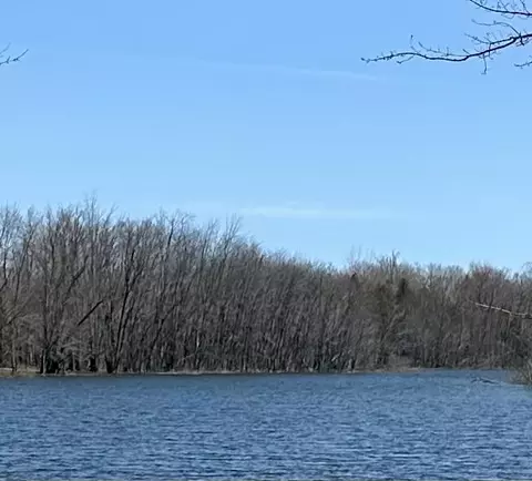 Monaghan Point Road, Alpena, MI 49707