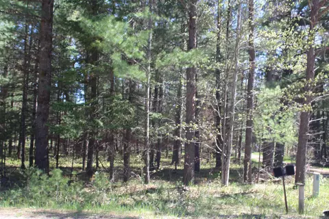 39453955 W Cherry Creek Rd, Mio, MI 48647