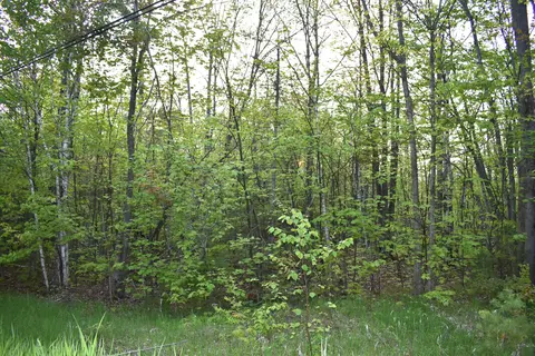 14236 Straitsview Dr, Cheboygan, MI 49721