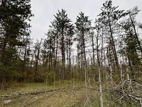 Parcel B County Road #612, Lewiston, MI 49756