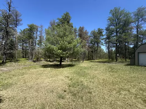 Exterior - 269 Dixson Dr, Grayling, MI 49738 photo 10 of 10