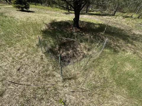 Exterior - 269 Dixson Dr, Grayling, MI 49738 photo 5 of 10