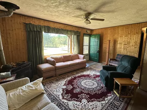 Living - 269 Dixson Dr, Grayling, MI 49738 photo 5 of 6