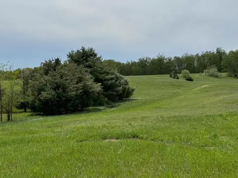 nichols road, Pellston, MI 49769