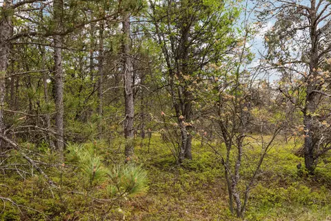 110 Acres Winding Rd, Lewiston, MI 49756