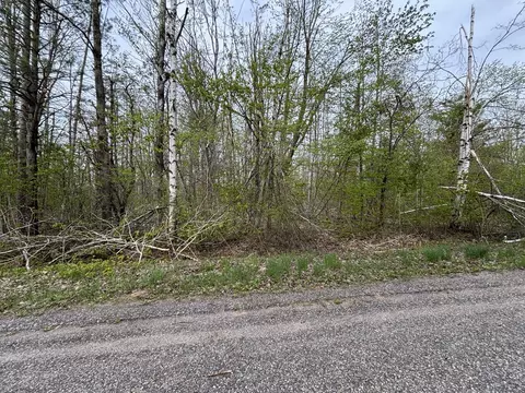 VL Lot 376 Forestview Circle #PENCIL LAKE NORTH, Gaylord, MI 49735
