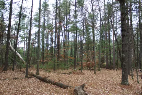 2976 Sunset Dr, Luzerne, MI 48636