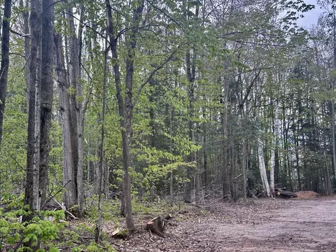 lot14 Brownwood Rd, Gaylord, MI 49735