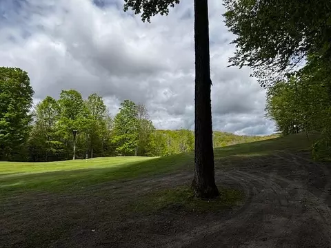 Unit 24 Forest Trail, Bellaire, MI 49615