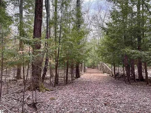 Vl Briar Lane, Bellaire, MI 49615