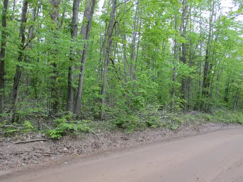 000 Lutz Rd #6.63 ACRES, Atlanta, MI 49709