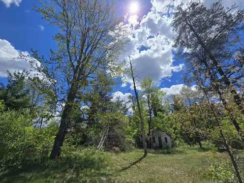 Exterior - 903 W 8th St, Mio, MI 48647 photo 10 of 20