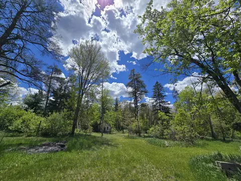 Exterior - 903 W 8th St, Mio, MI 48647 photo 9 of 20