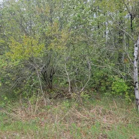 lot Apt 21 W Roberta Dr #065-500-000-021-00, Roscommon, MI 48653 photo 4
