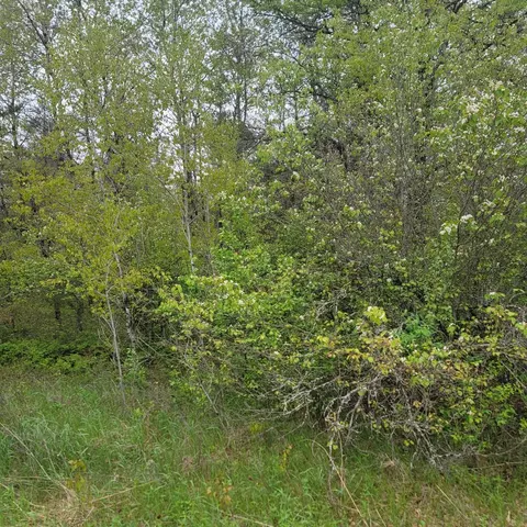 lot Apt 21 W Roberta Dr #065-500-000-021-00, Roscommon, MI 48653 photo 3