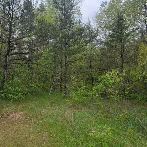lot Apt 21 W Roberta Dr #065-500-000-021-00, Roscommon, MI 48653
