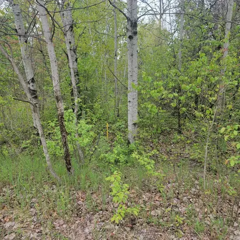 lot Apt 42 E Roberta Dr, Roscommon, MI 48653