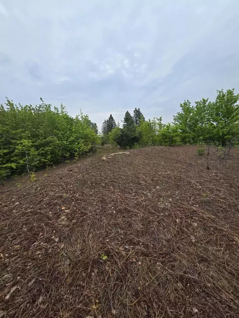 000 Durkalic Rd, Pellston, MI 49769 photo 8