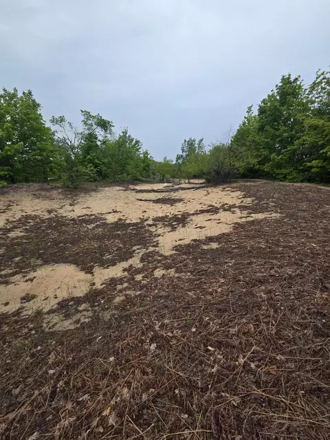 000 Durkalic Rd, Pellston, MI 49769 photo 9