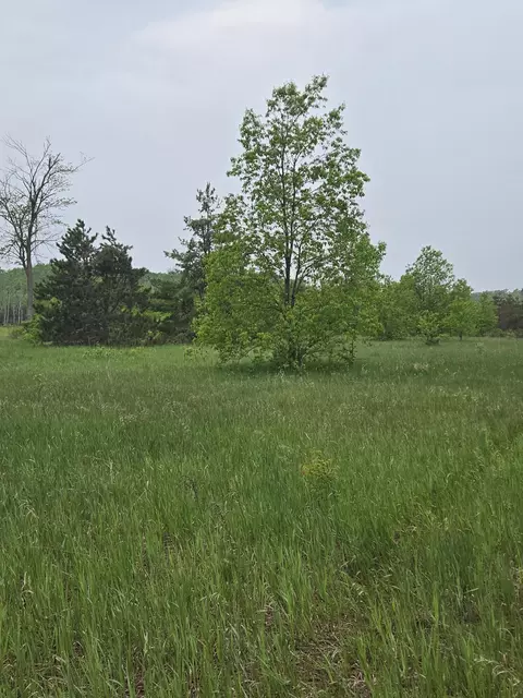 000 Durkalic Rd, Pellston, MI 49769 photo 14