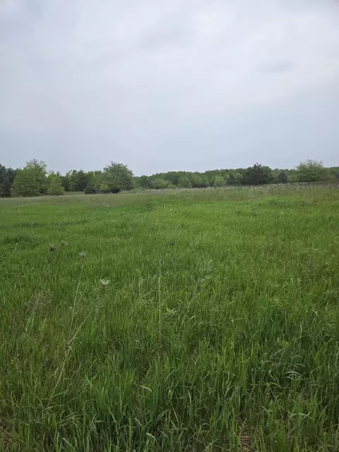 000 Durkalic Rd, Pellston, MI 49769 photo 3