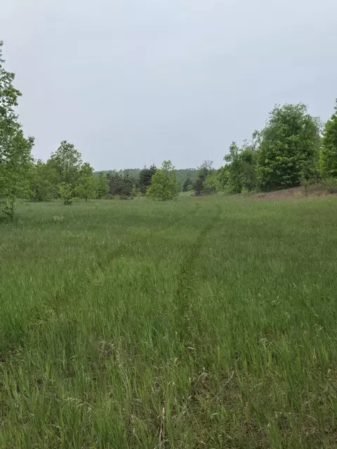 000 Durkalic Rd, Pellston, MI 49769 photo 15