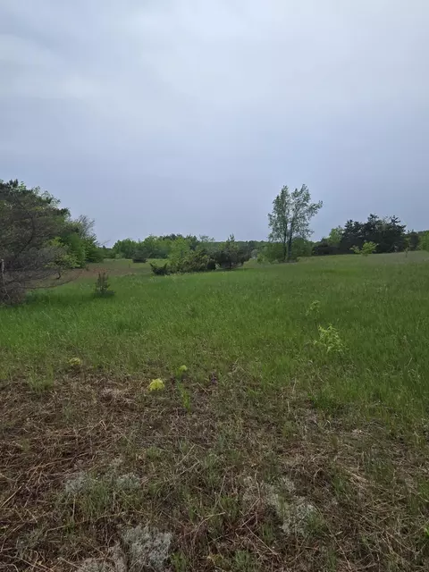 000 Durkalic Rd, Pellston, MI 49769 photo 5