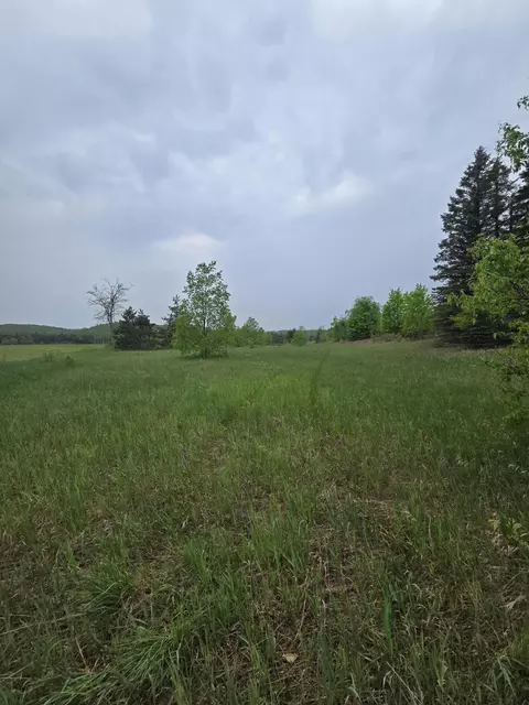 000 Durkalic Rd, Pellston, MI 49769 photo 13